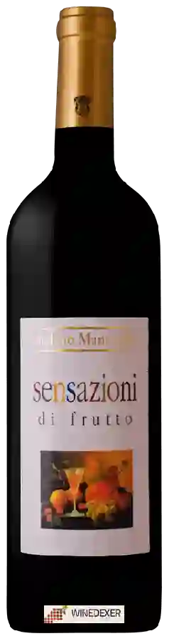 Winery Stefano Mancinelli - Sensazioni di Frutto Winery Stefano Mancinelli - Sensazioni di Frutto