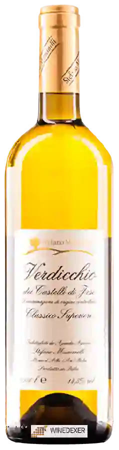 Winery Stefano Mancinelli - Verdicchio dei Castelli di Jesi Classico Superiore Winery Stefano Mancinelli - Verdicchio dei Castelli di Jesi Classico Superiore