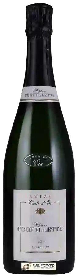 Winery Stéphane Coquillette - Carte d'Or Brut Champagne Premier Cru Winery Stéphane Coquillette - Carte d'Or Brut Champagne Premier Cru