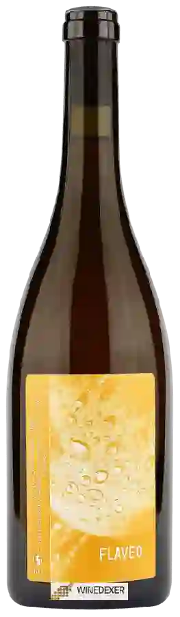 Winery Stéphane Cyran - Flaveo