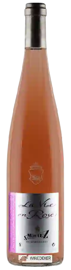 Stephane Montez - Domaine du Monteillet - La Vigne en Rosé Stephane Montez - Domaine du Monteillet - La Vigne en Rosé