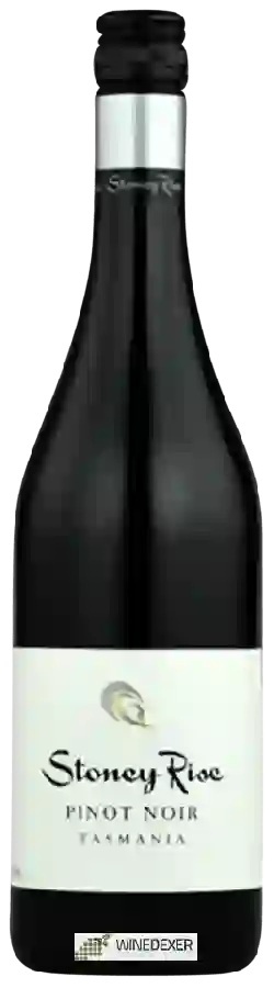 Winery Stoney Rise - Pinot Noir