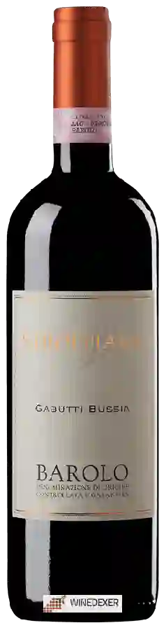 Winery Stroppiana - Barolo Gabutti Bussia Winery Stroppiana - Barolo Gabutti Bussia
