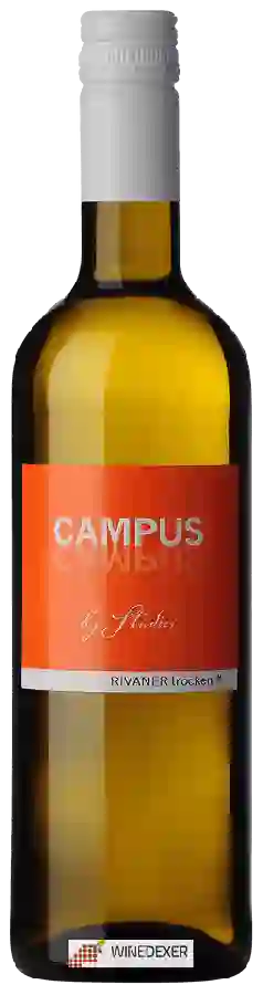 Winery Studier - Campus Rivaner Trocken