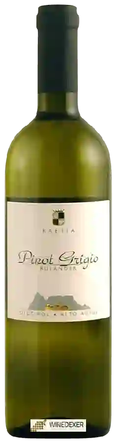 Winery Südtiroler Weinbauernverband - Raetia Ruländer Pinot Grigio Winery Südtiroler Weinbauernverband - Raetia Ruländer Pinot Grigio
