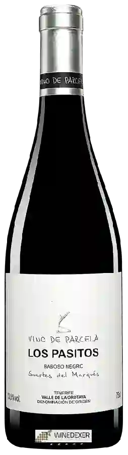 Winery Suertes del Marqués - Los Pasitos Baboso Negro