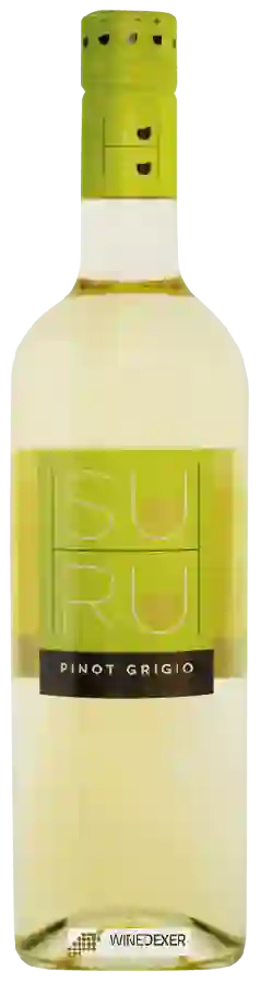 Winery Suhru - Pinot Grigio Winery Suhru - Pinot Grigio