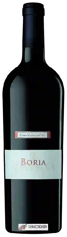 Winery Sumarroca - Boria