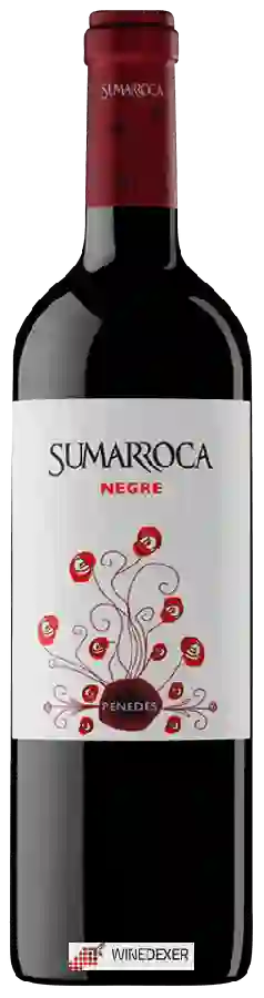 Winery Sumarroca - Negre Tinto