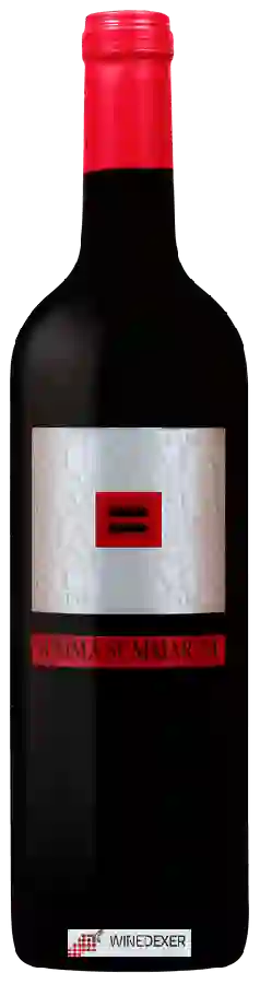 Winery Summa Summarum - Negroamaro Winery Summa Summarum - Negroamaro
