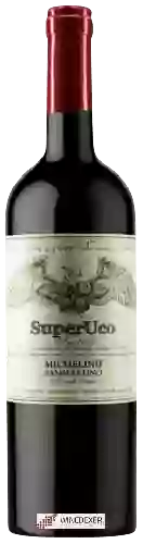 Winery SuperUco - Fratello