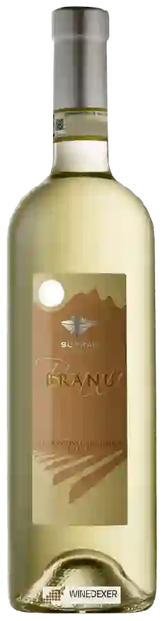 Winery Surrau - Branu Vermentino di Gallura Winery Surrau - Branu Vermentino di Gallura