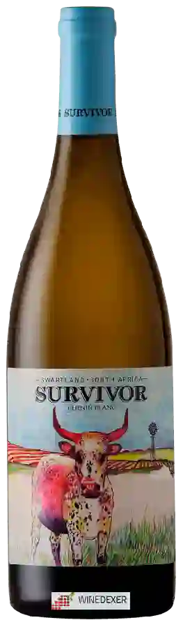Winery Survivor - Chenin Blanc Winery Survivor - Chenin Blanc