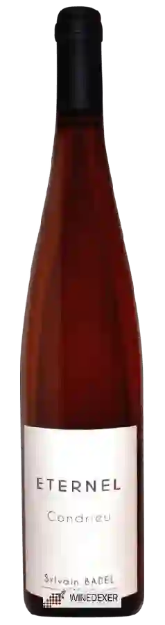 Winery Sylvain Badel - Eternel Condrieu Winery Sylvain Badel - Eternel Condrieu