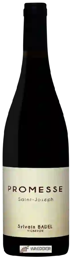 Winery Sylvain Badel - Promesse Saint-Joseph