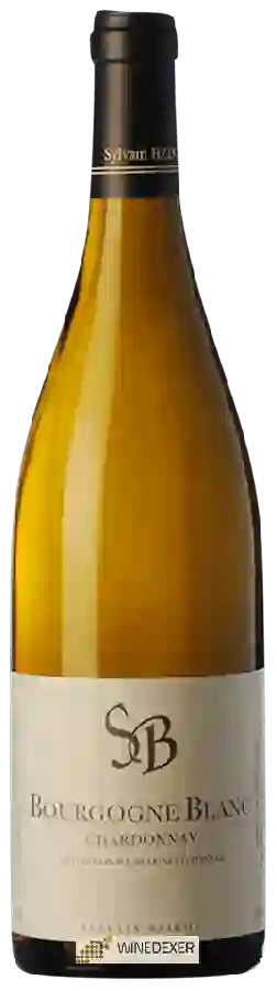 Winery Sylvain Bzikot - Bourgogne Blanc