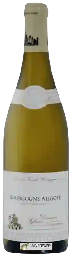 Domaine Sylvain Langoureau - Bourgogne Aligoté Domaine Sylvain Langoureau - Bourgogne Aligoté