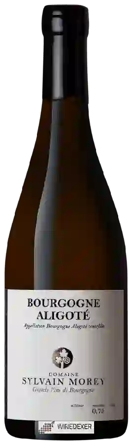 Domaine Sylvain Morey - Bourgogne Aligoté