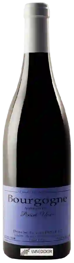 Winery Sylvain Pataille - Bourgogne Pinot Noir Winery Sylvain Pataille - Bourgogne Pinot Noir
