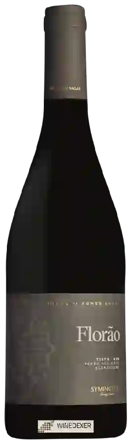 Winery Symington - Florão Tinto