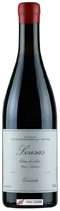 Winery Envínate - Lousas Vi&ntildea de Aldea