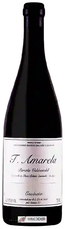Winery Envínate - T. Amarela Parcela Valdemedel