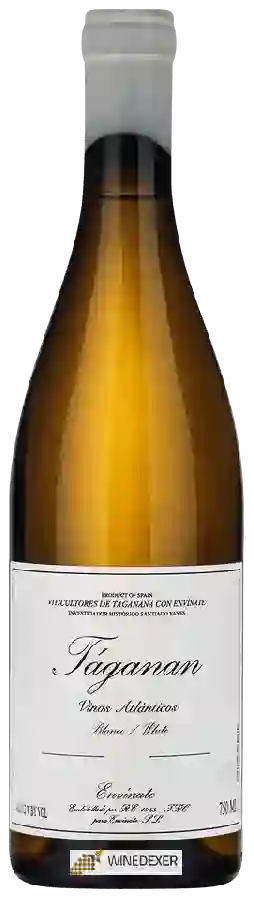 Winery Envínate - T&aacuteganan Blanco