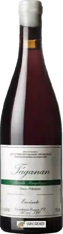 Winery Envínate - T&aacuteganan Parcela Margalagua