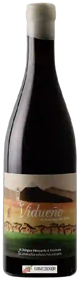 Winery Envínate - Vidueno de Santiago del Teide