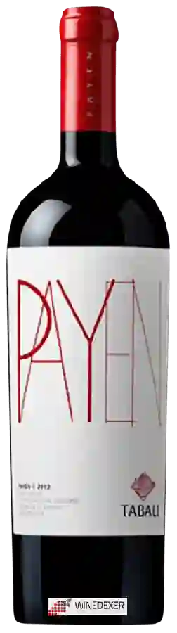Winery Tabali - Payen