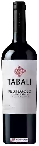 Winery Tabali - Pedregoso Gran Reserva Cabernet Sauvignon