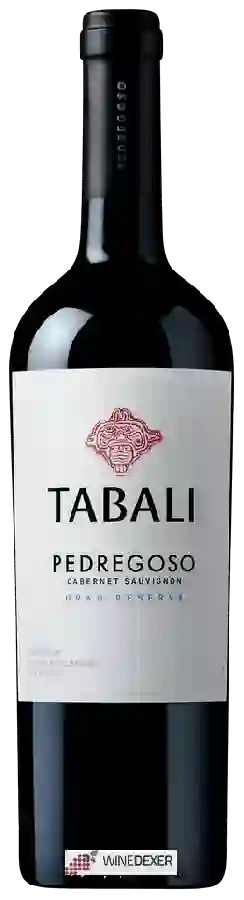 Winery Tabali - Pedregoso Gran Reserva Cabernet Sauvignon