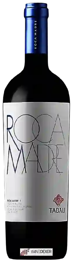 Winery Tabali - Roca Madre Winery Tabali - Roca Madre