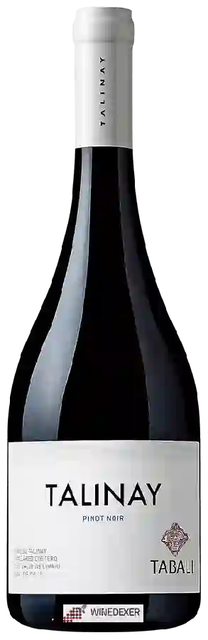 Winery Tabali - Talinay Pinot Noir