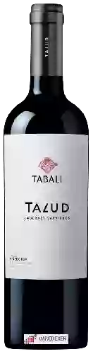 Winery Tabali - Talud Cabernet Sauvignon