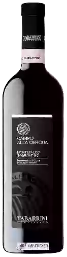 Winery Tabarrini - Campo Alla Cerqua Montefalco Sagrantino