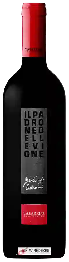 Winery Tabarrini - Il Padrone delle Vigne Winery Tabarrini - Il Padrone delle Vigne