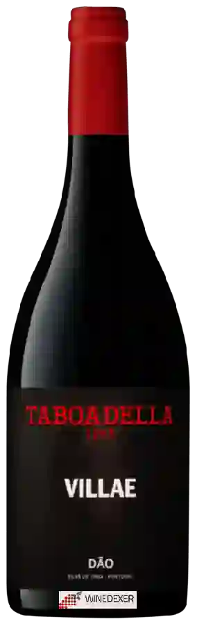 Winery Taboadella - Villae Tinto Winery Taboadella - Villae Tinto