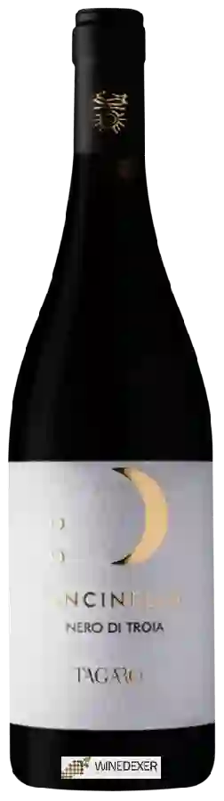 Winery Tagaro - Mancinello Nero di Troia Winery Tagaro - Mancinello Nero di Troia