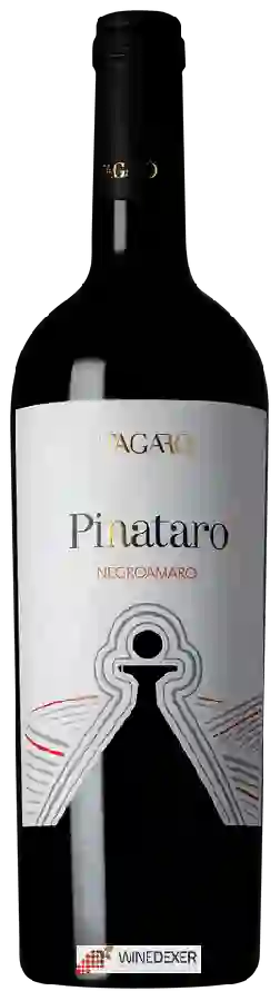 Winery Tagaro - Pignataro Negroamaro