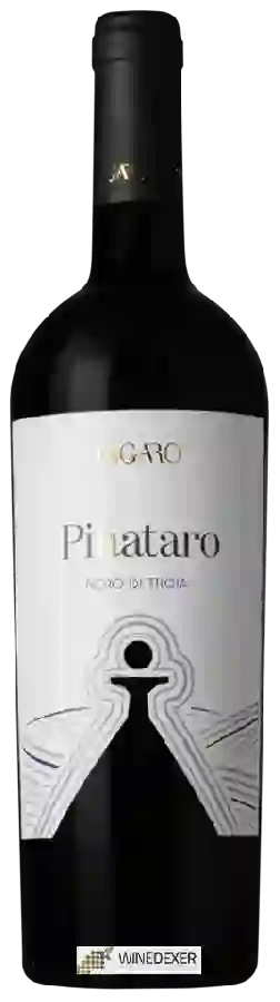 Winery Tagaro - Pinataro Nero di Troia Winery Tagaro - Pinataro Nero di Troia