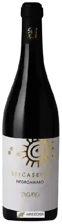 Winery Tagaro - Seicaselle Winery Tagaro - Seicaselle