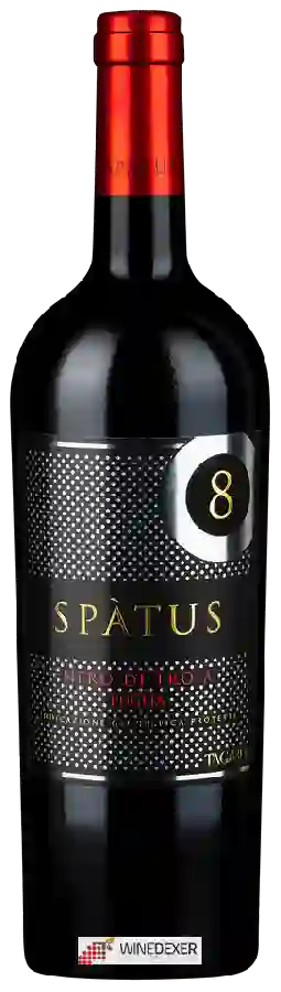 Winery Tagaro - Spàtus Nero di Troia