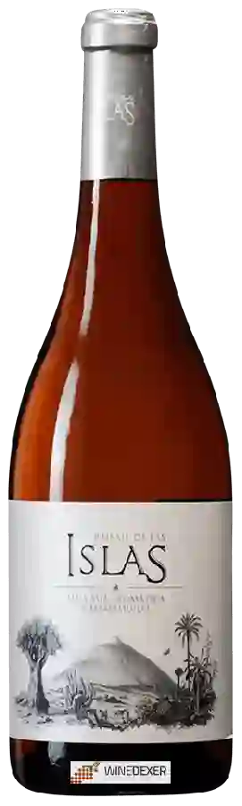 Winery Tajinaste - Paisaje de las Islas Malvasia Aromatica - Marmajuelo Winery Tajinaste - Paisaje de las Islas Malvasia Aromatica - Marmajuelo