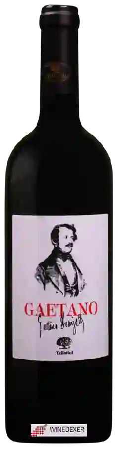Winery Tallarini - Gaetano Winery Tallarini - Gaetano