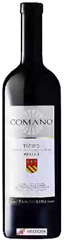 Winery Tamborini Carlo - Comano Merlot