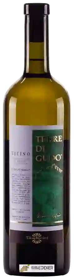 Winery Tamborini Carlo - Terre di Gudo Bianco di Merlot Winery Tamborini Carlo - Terre di Gudo Bianco di Merlot