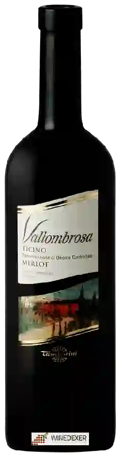 Winery Tamborini Carlo - Vallombrosa Merlot