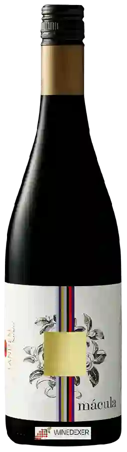 Bodega Tandem - Mácula