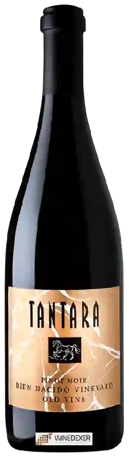 Winery Tantara - Bien Nacido Vineyard Old Vine Pinot Noir Winery Tantara - Bien Nacido Vineyard Old Vine Pinot Noir